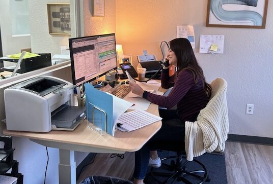 Woman sits at her desk, on the phone, while looking at a computer screen